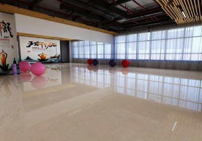 Gạch Ốp Lát APODIO 61282042